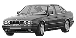 BMW E34 C217C Fault Code