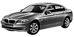 BMW F10 C217C Fault Code
